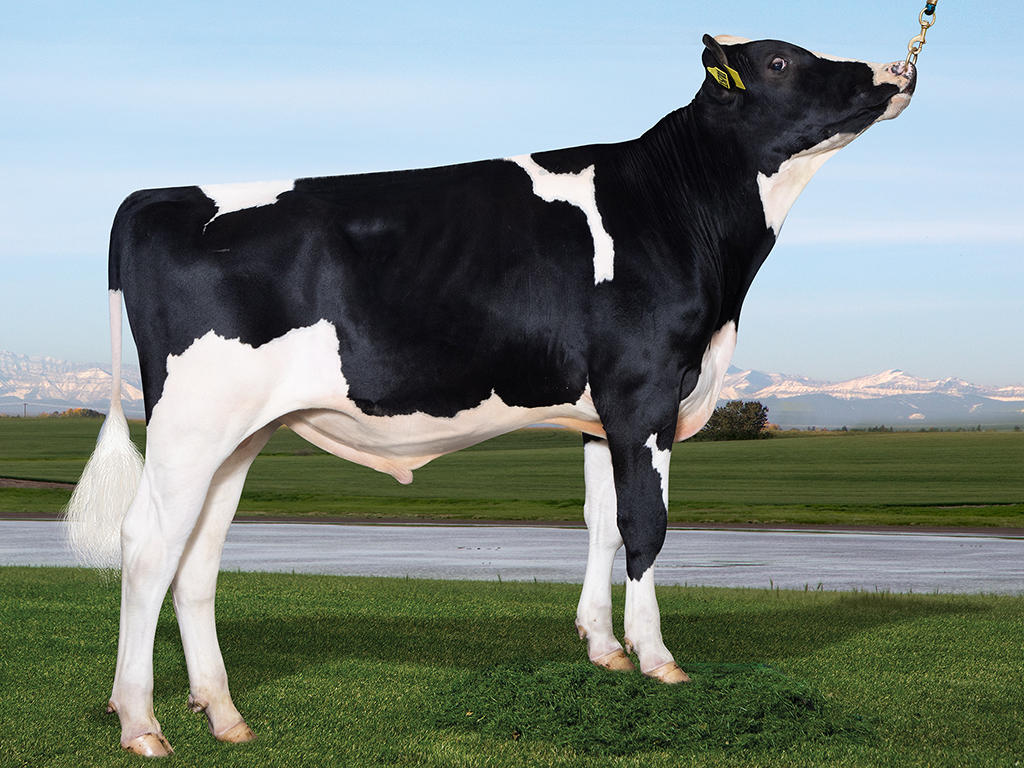 GENEX - 001HO15701 - EMPOWERED