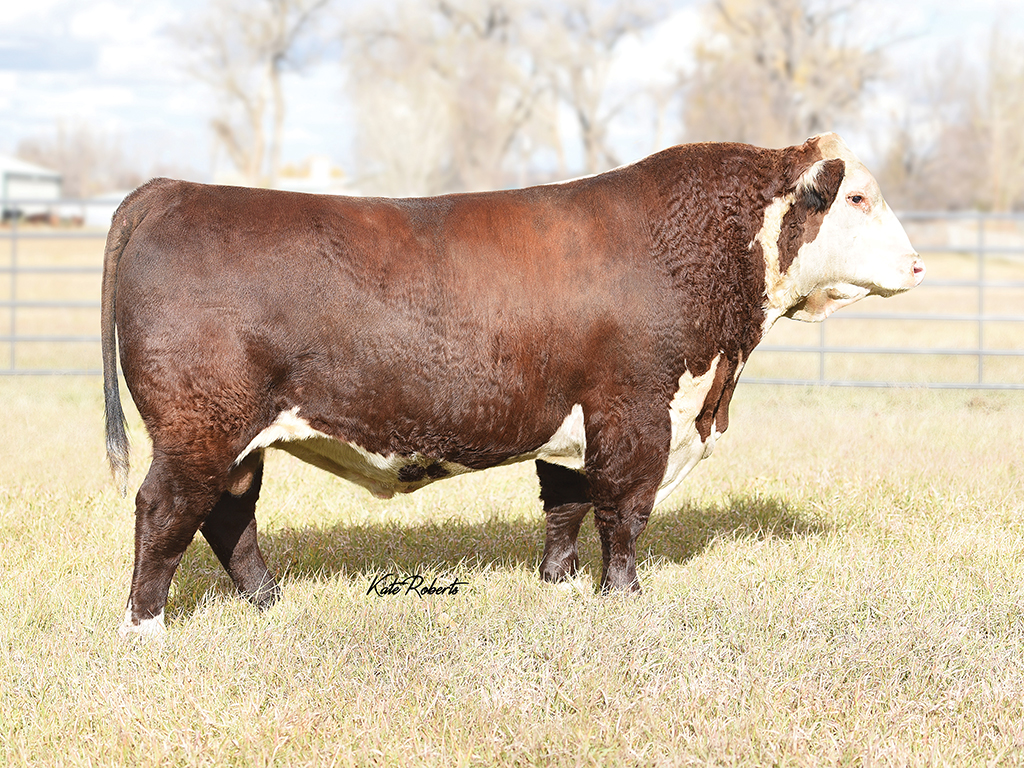 KBCR 49B FEDERAL 634D
