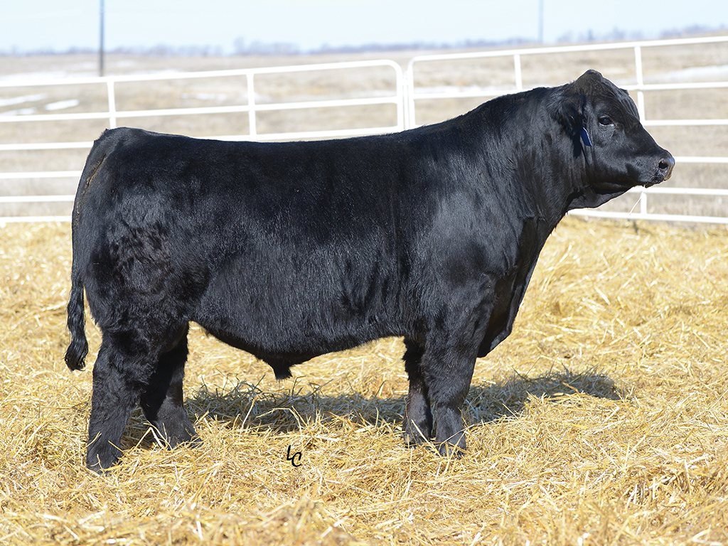 GENEX - 001SM00173 - HIGH ROAD