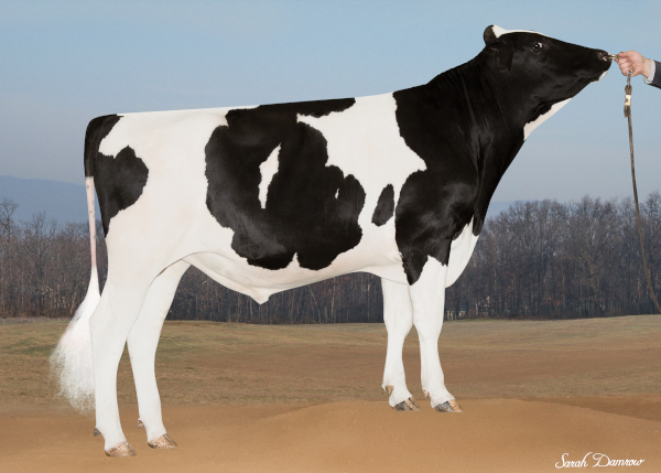 Genex Catalog - Reveal™ Livestock Marker Brush-on Paint