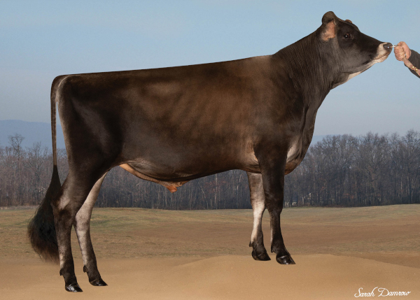 Genex Catalog - Reveal™ Livestock Marker Brush-on Paint