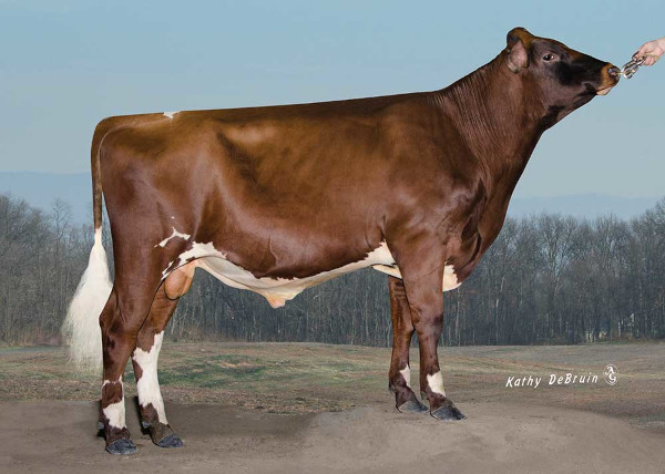 Genex Catalog - Reveal™ Livestock Marker Brush-on Paint