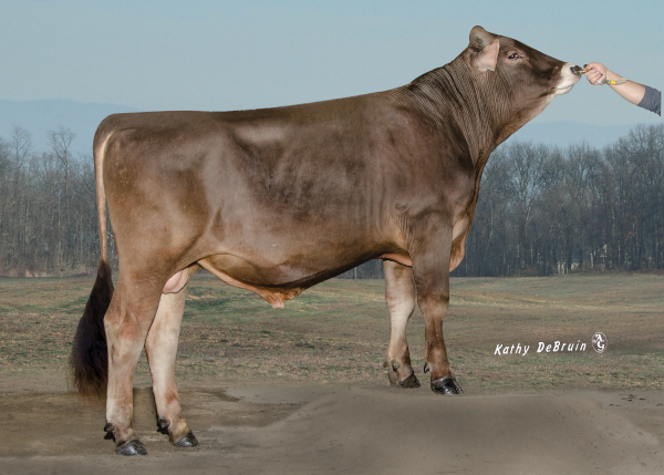 Genex Catalog - Reveal™ Livestock Marker Brush-on Paint