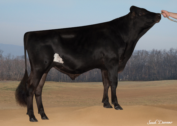 Genex Catalog - Reveal™ Livestock Marker Brush-on Paint